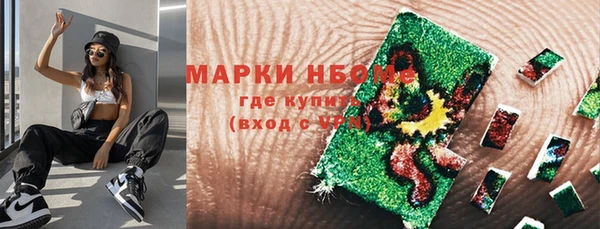 гашик Арсеньев