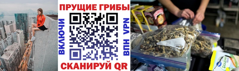 Псилоцибиновые грибы Cubensis  закладки  Урай 